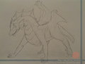 Becoming Dragon!!