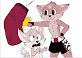 Azymuth kittys test