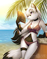Holly in Summer