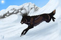 Dashing Through The Snow