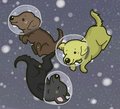LABS IN SPACE by Layt0n