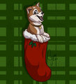MERRY CHRISTMAS!