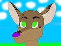 Maverick the Coyote