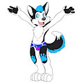 Prohusky by HalcyonWinter