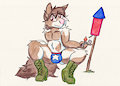 Rocket