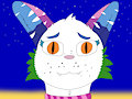 Hazy the Cat