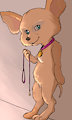Leash