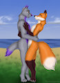Commission for Ghostwolf No 10 by Rahir
