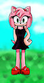 Amy Rose:with the clothes of the Simpson's families