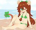 Comm:TKBaja