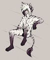 Noah The Zebra