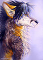 Fluffy