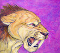 Purple And Gold