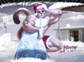 Puma Beach - christmas version