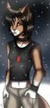 Winter ID by Carnavat