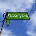 Raspberry Line Chapter 19