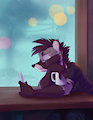 Coffee and Wifi by Kalahari