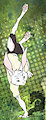 Speeding rabbit