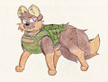 Combat Canine