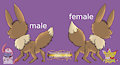Eevee Gender