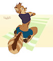 Foxer on the Beach by Kalahari