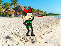 Minnie at beach