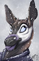 Illah Speedpaint by Lizet
