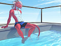 RoofPool