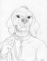 Take him on walkies by PaperWings
