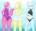 Kitten Swimmers