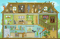 The cats' house