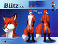 Reference Sheet by Darkgoose by Blitzkriegfox