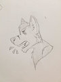 Rod Yelling Sketch by RodkSlakkco