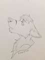 Rod Sad Sketch by RodkSlakkco