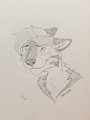 Taiga Blush Sketch by RodkSlakkco