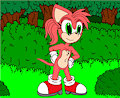 Amy Rose tries out A new look