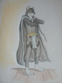 Court robes by Fluitaire