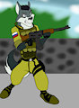 Grey wolf