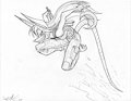 Sibu CCA Berserker
