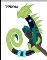 Torrid by Veng