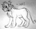 Bahari the rebel by lowemond
