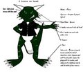 Chase the lizard reference sheet by ChaseTehLizard