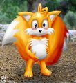 Sonic... I'm pregnant...
