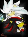 silver and shadow