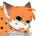 [C] For Mateus Rodrigues