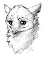 Birb by Silenthowl