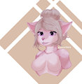 cat chest
