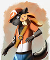 A wild eevee appears