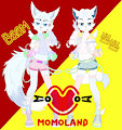I stan Momoland