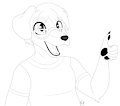 COMM: Golden Retriever